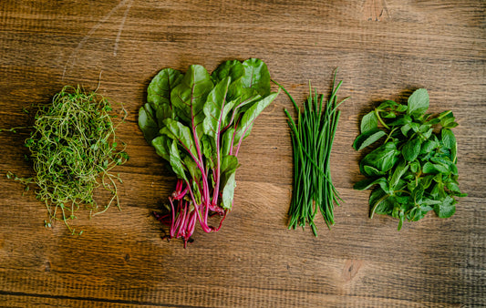 Mixed Blend Microgreens